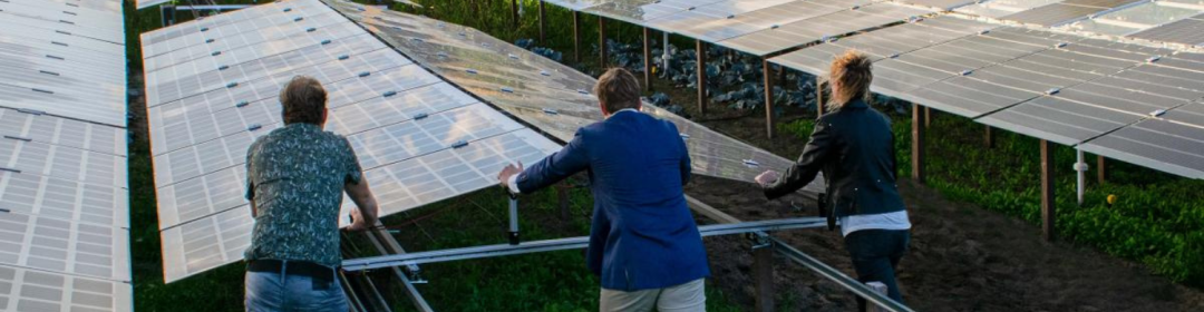 Lichtdoorlatende zonnepanelen maken groente telen mogelijk